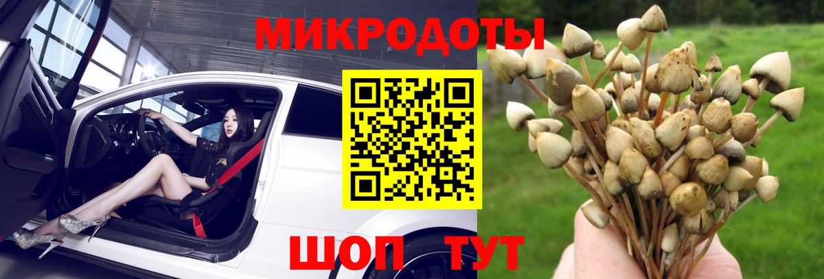 дарнет шоп  Вход с VPN  Кировск  Псилоцибиновые грибы ЛСД 