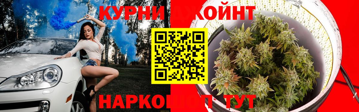 Каннабис сатива  Шишки марихуана планчик  Вход с VPN  Бошки Шишки план  Кировск 